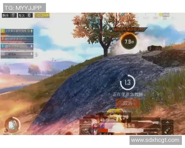 和平精英中FPX团队协作引发热议玩家对战术配合的不同看法